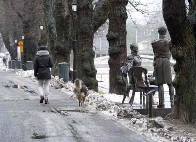 Karl Johan i Åbo Karl Johan i Åbo