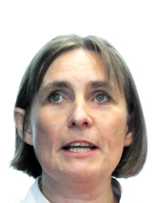 Marie-Luise Schultz-Nielsen, Rockwool foundation