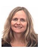 Kari Skarholt, SINTEF
