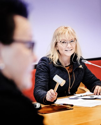Päivi Niemi-Laine 2