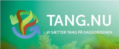 Tang Nu