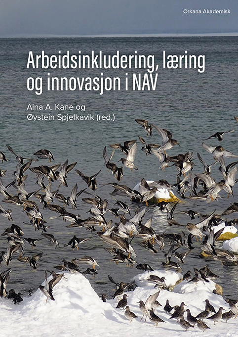 Bok om NAV
