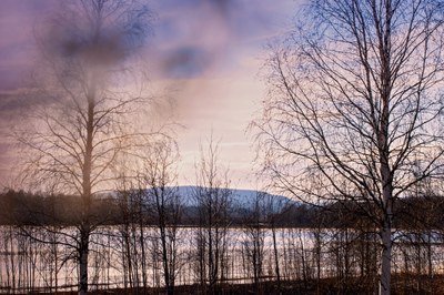 Norrländsk natur