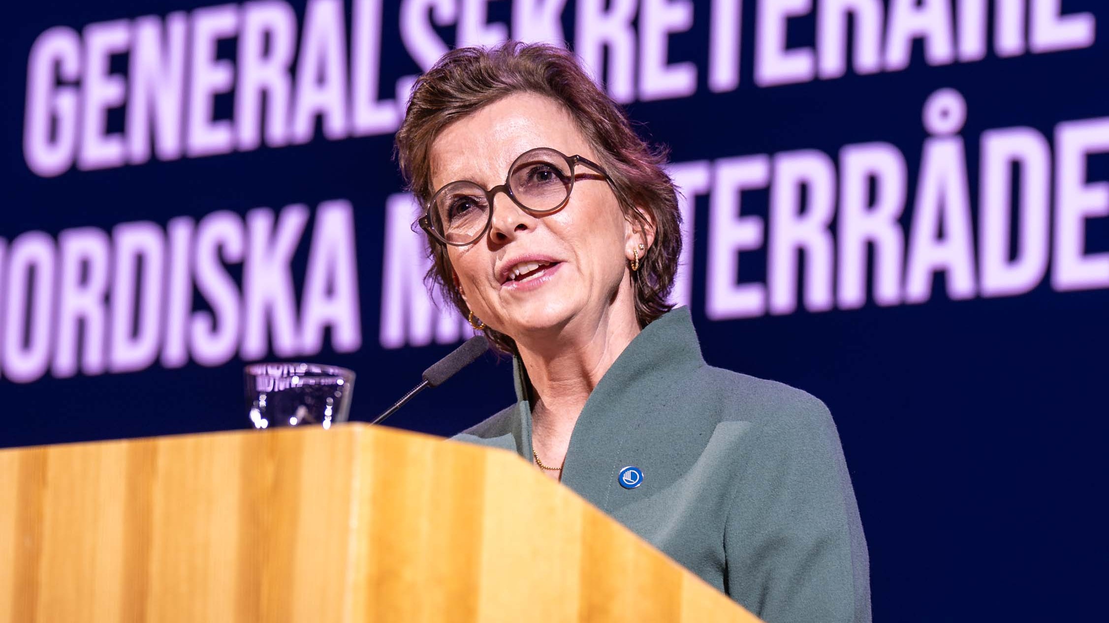 Karen Ellemann_språkdeklarasjon