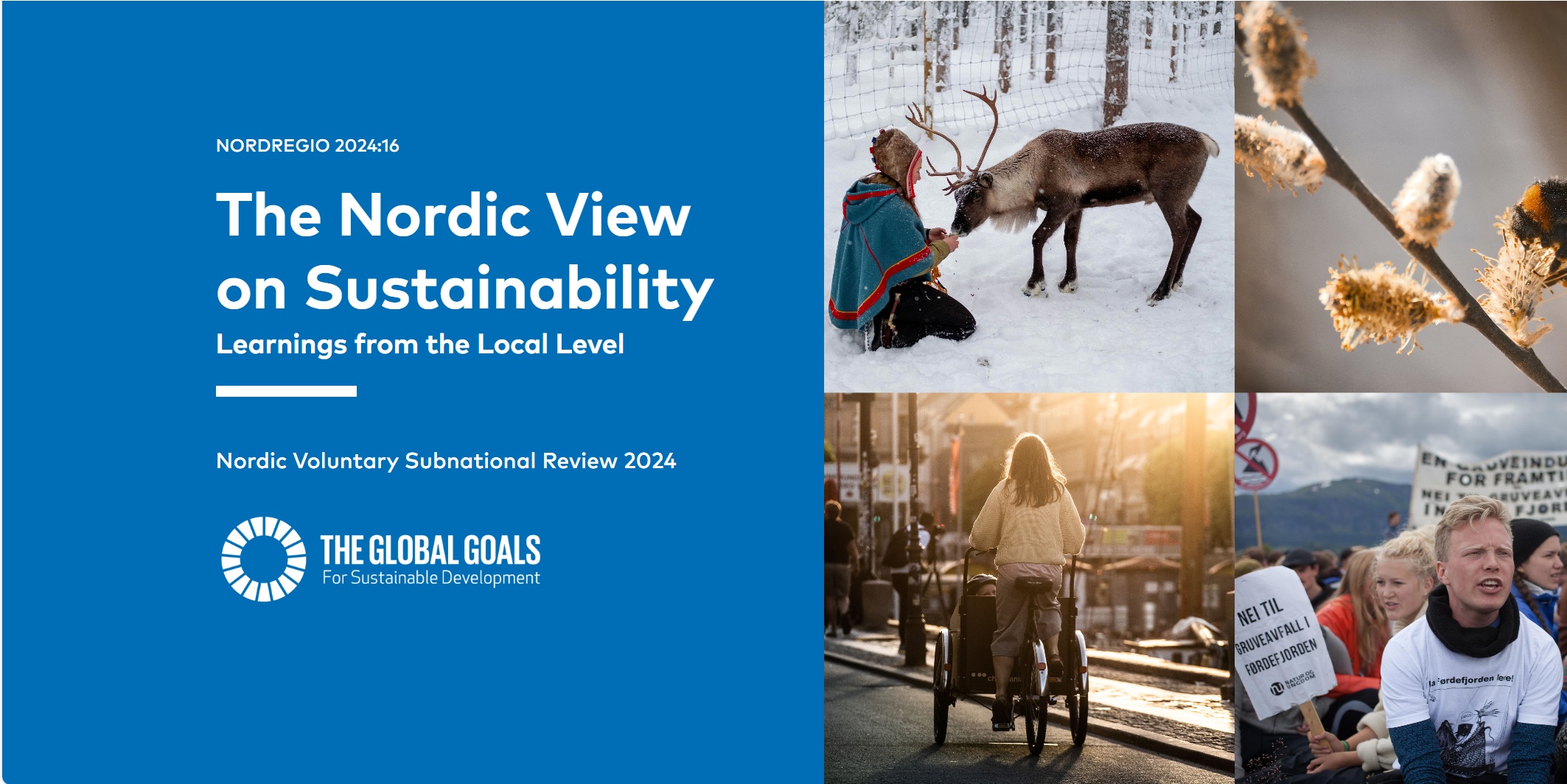 The Nordic View on Sustainability. Learning from the Local level, cover
